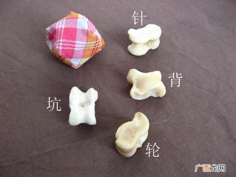 嘎拉哈是哪块骨头,骨头子是羊的前腿还是后腿？
