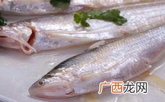 刀鱼的特点,东海带鱼和油带鱼区别？
