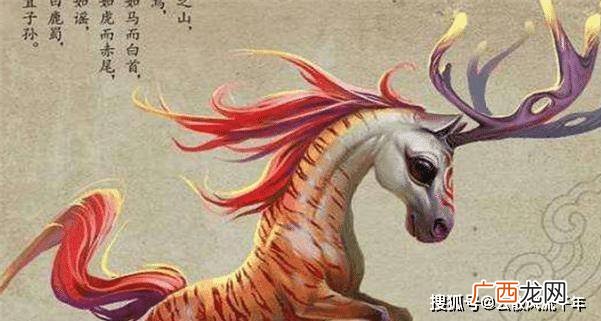 天马行空是什么生肖,天马行空指的是什么动物？