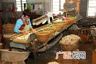 缫是什么东西,蚕茧丝和真丝区别？
