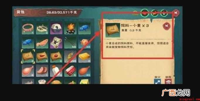创造与魔法乌龟吃什么饲料
