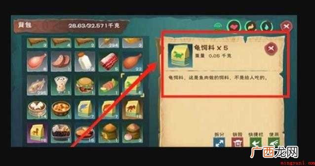 创造与魔法乌龟吃什么饲料