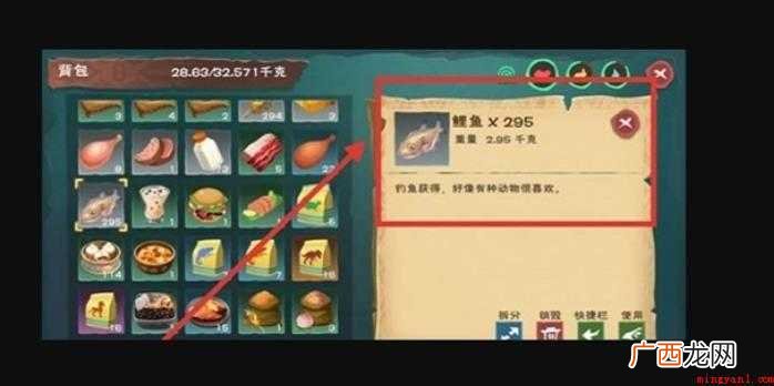 创造与魔法乌龟吃什么饲料