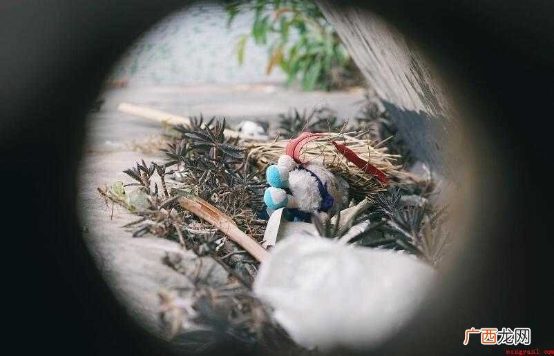 处心积虑的造句有哪些
