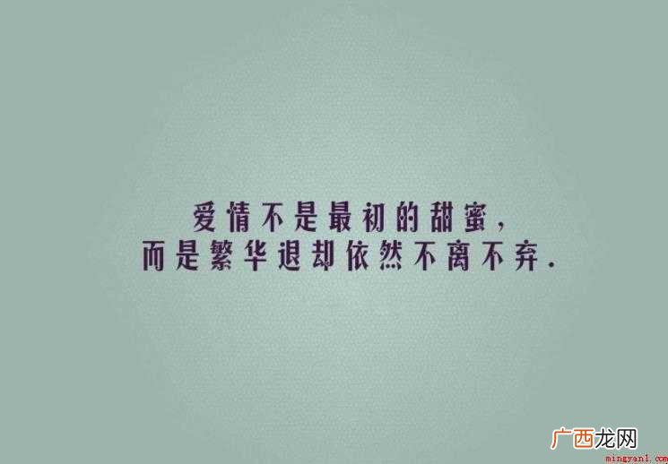 爱情短句有哪些