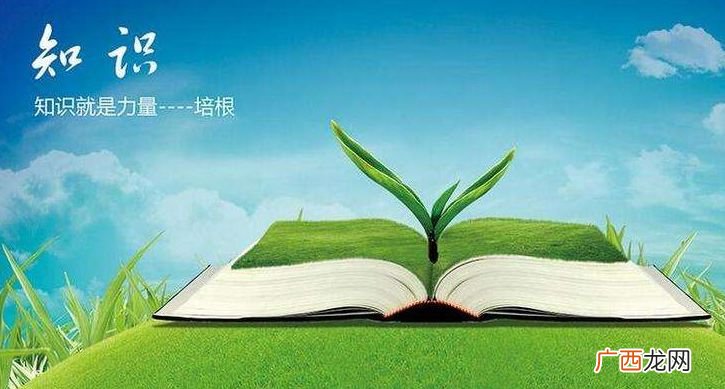 家庭背景怎么写,家庭背景怎么写？