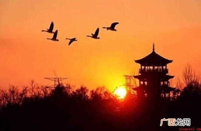 关于依然的近义词是什么 依然的近义词是什么