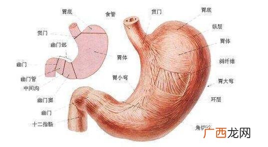胃病有哪些反应,胃痛有哪些症状？