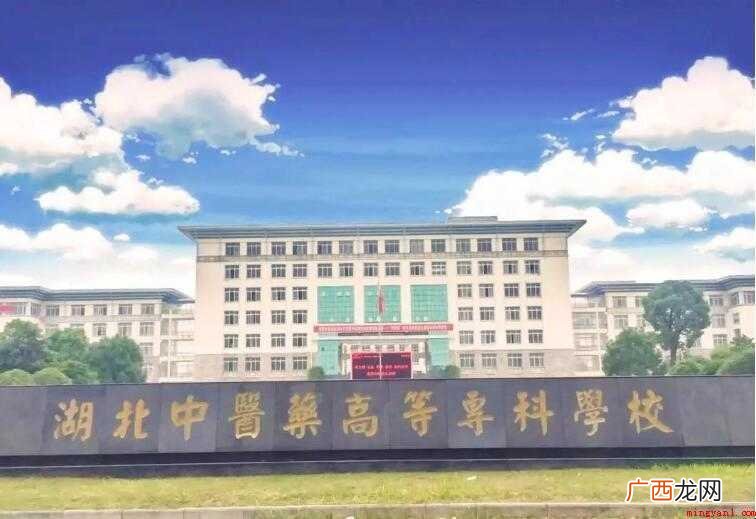 湖北中医药高等专科学校怎么样