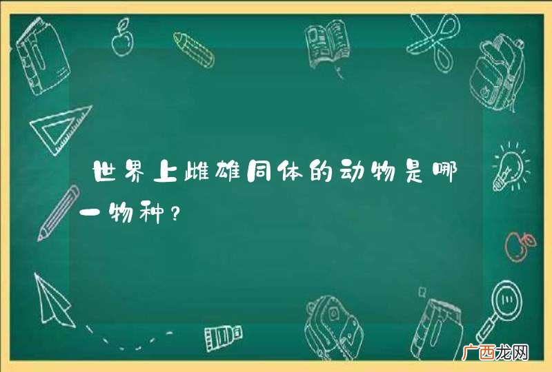 世界上雌雄同体的动物是哪一物种?