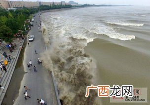 钱塘江入海口在哪里,钱塘江入海口海岸线的变化原因？