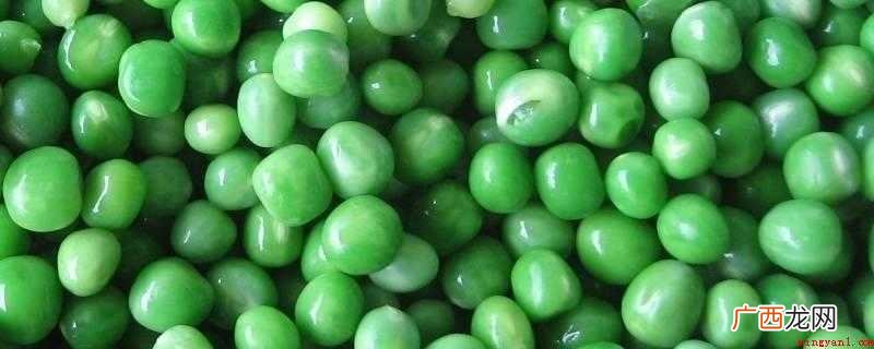 绿豆比豌豆大,豌豆相对较小 青豆是不是豌豆
