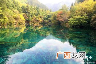 四川九寨沟门票多少钱,九寨沟风景区门票？