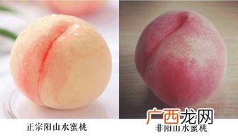 如何判断水蜜桃成熟没有,水蜜桃几月开花几月成熟4月？