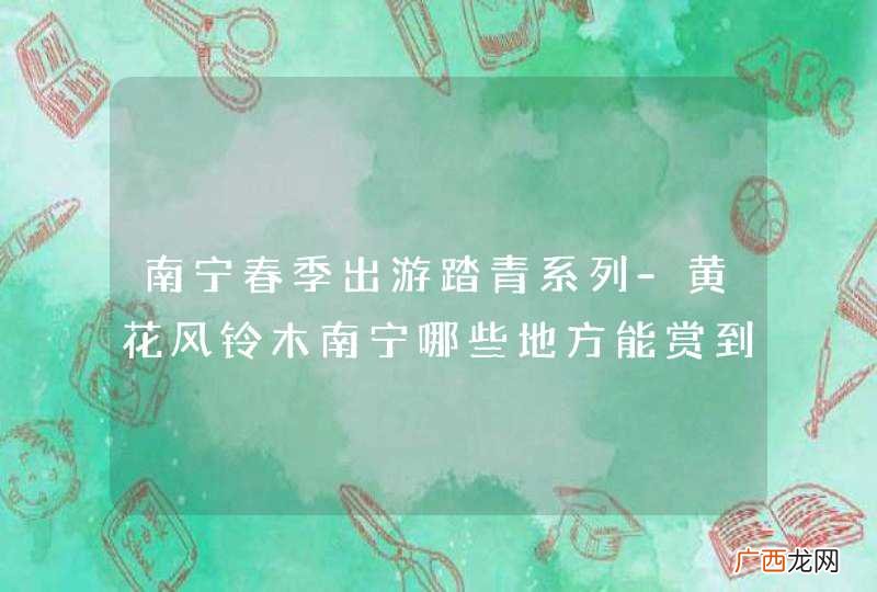 南宁春季出游踏青系列-黄花风铃木南宁哪些地方能赏到这些金黄色的风铃呢