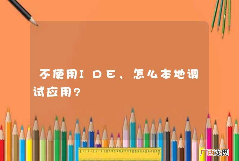 不使用IDE,怎么本地调试应用?