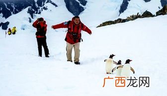 去南极旅游需要准备什么,南极科考队要准备什么物品？