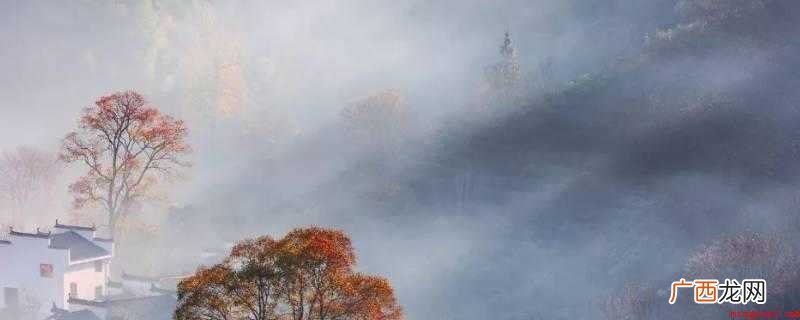 唐朝刘长卿的《逢雪宿芙蓉山主人》 日暮苍山远的下一句