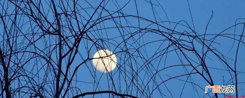月上柳梢头,人约黄昏后 人约黄昏后的上一句