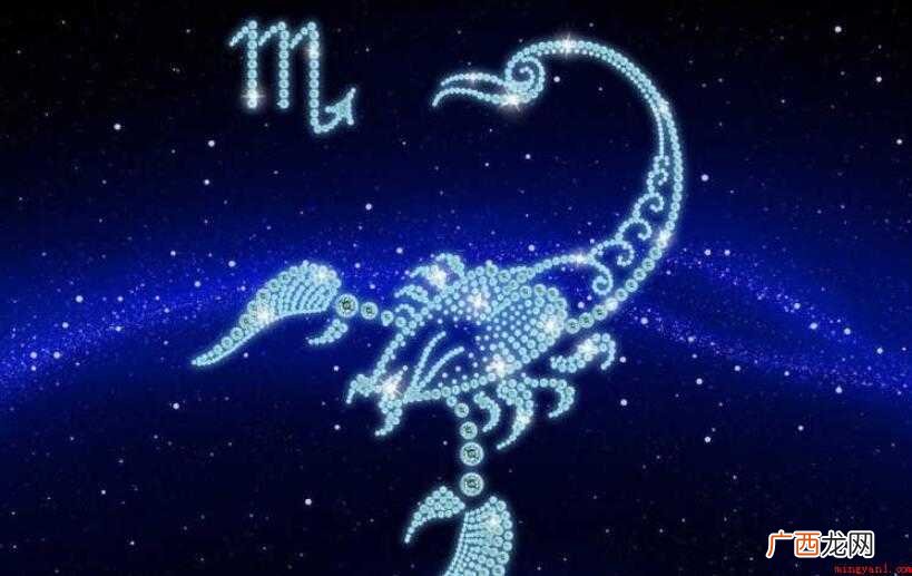 11月11日是什么星座