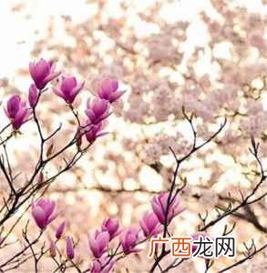 女朋友来大姨妈怎么说暖心的话,老婆来大姨妈了怎么留言关心他？