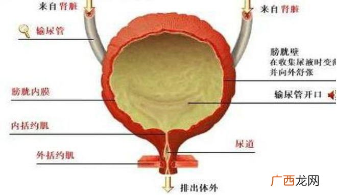 什么原因会导致尿路感染,尿道感染什么原因？