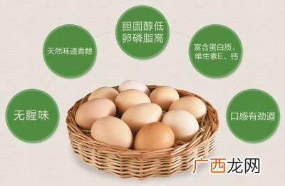 无抗鸡蛋什么意思,什么是真正的无抗鸡蛋？标准是什么？