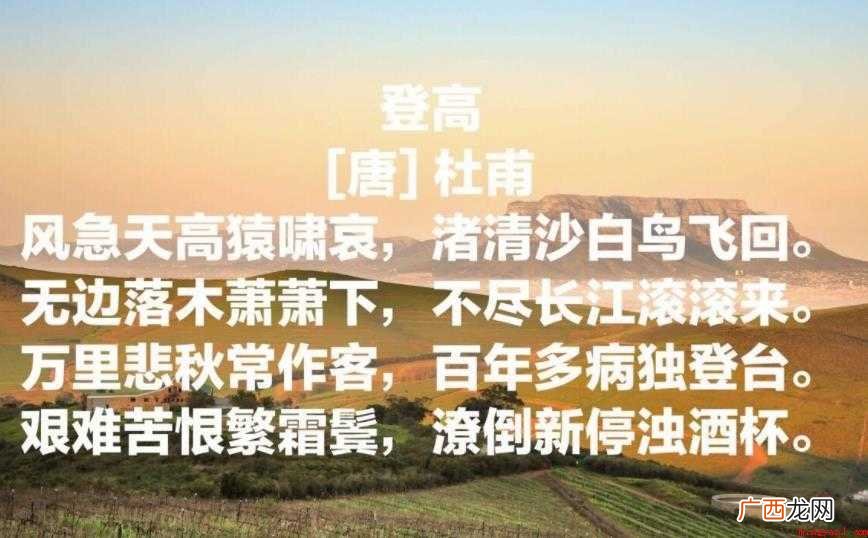 渚清沙白鸟飞回的上一句是什么