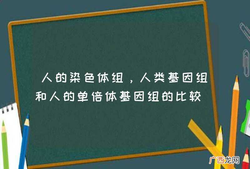 人的染色体组，人类基因组和人的单倍体基因组的比较