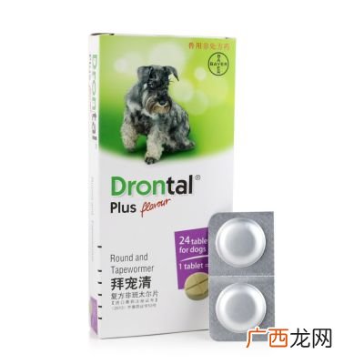 驱虫药有哪些,驱虫针和驱虫药有什么区别？