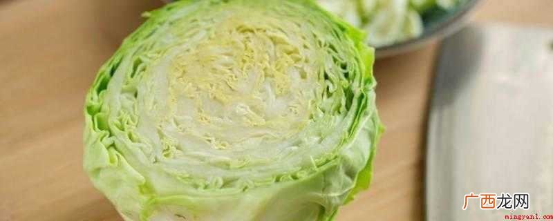 卷心菜的家常菜,你知道吗? 十字花科的蔬菜和水果有哪些