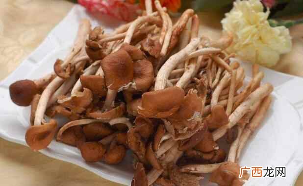 茶树菇如何清洗