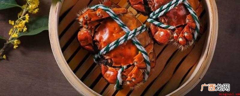 蟹黄边上的黑色胶状物是螃蟹的胃,也被称作蟹尿包,坐落于背壳外 母螃蟹黄里面黑的是什么