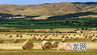 美国或澳洲农场或牧场累小说,主角在新西兰买了牧场的小说？