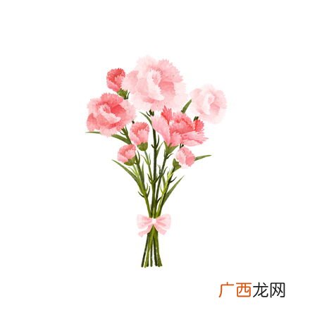 教师节送花的寓意是什么,教师节送花十大禁忌？