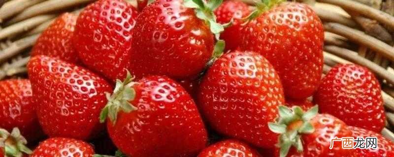 草莓苗、无籽西瓜、甜瓜、菠萝蜜、番茄、哈密瓜等 哪种水果不是长在树上的