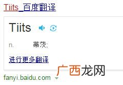 ti是什么意思,ts是什么意思？