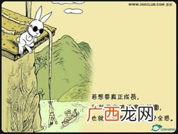 什么叫人生哲理,会当凌绝顶一览众山小中蕴含了什么人生道理？