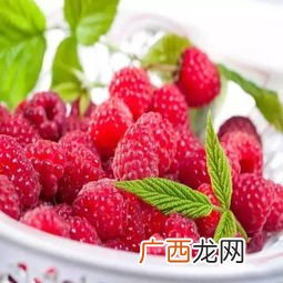 树莓太酸了怎么吃好吃,树莓太酸了，怎么吃好吃？