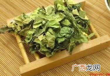 桑叶茶怎样制作【图文】 桑叶茶怎样制作