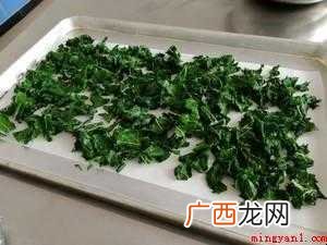 桑叶茶怎样制作【图文】 桑叶茶怎样制作