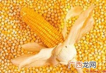 怎样煮玉米比较好吃