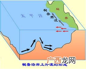 秘鲁渔场的成因是什么,三大渔场的位置及成因？