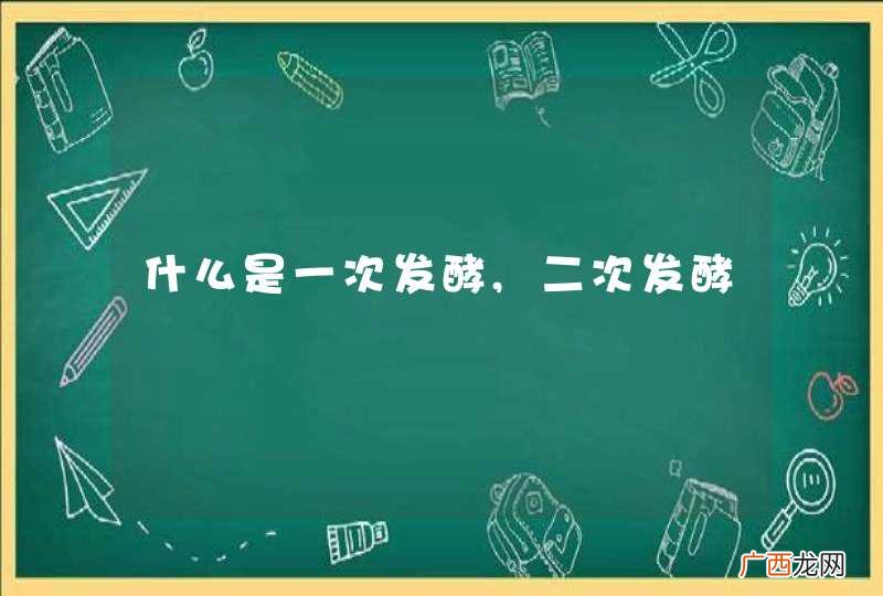 什么是一次发酵,二次发酵