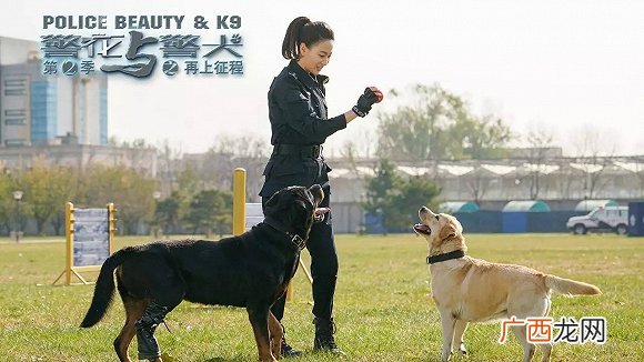警犬一般是什么品种,警犬有哪些品种？