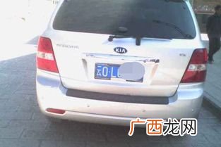新0是哪的车牌,青0是哪里车牌？
