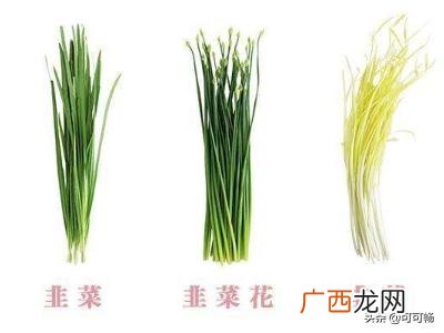 韭黄是韭菜吗韭黄与韭菜的区别,韭黄和韭青的区别？