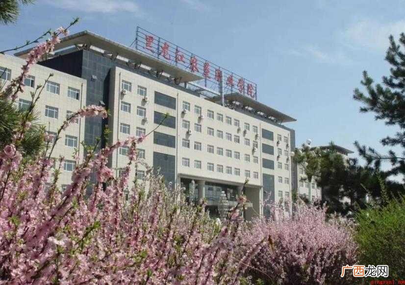 黑龙江农垦职业学院面积多大