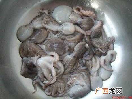 八爪鱼怎样清洗的全部内容 八爪鱼怎样清洗