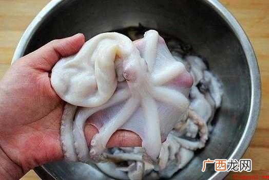 八爪鱼怎样清洗的全部内容 八爪鱼怎样清洗